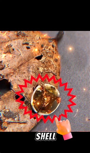 The Golden 💛 Insect,until it Dies🫢🫢🫢🫢🕯🎗🎗🎗🙉🙉🙉🙉🙉