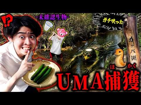 [Shocking Footage] I actually encountered it… Unexpected turn of events while trying to catch a "...