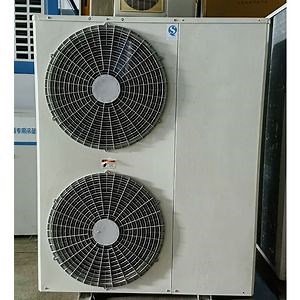 [Hot Item] L Type Air Cooling System Condensing Unit for Industry Refrigeration Freezer