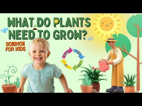 What Plants Need to Grow 🌱 | Fun Science for Kids | Preschool Learning #kidseducation