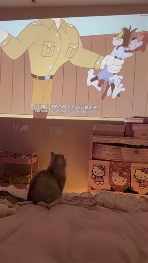 Cozy Room Updates#DormDecor #DormRoomSetup #SmallSpaceMakeover #DormOrganizationTips