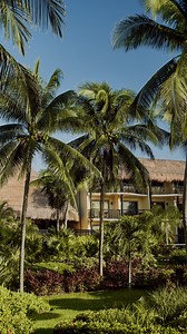 Mexico in December means radiant wheater, blue skies and warm moments ☀️🌺 Playa Maroma is the perfect place to live it all! México se vive con sol, arena y escapadas tropicales. Todo incluido en Catalonia Playa Maroma. ☀️🌺 #CataloniaResorts #CataloniaPlayaMaroma #Mexico | Catalonia Hotels & Resorts