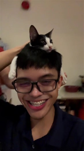 Cute TikTok Moments You Don't Want to Miss