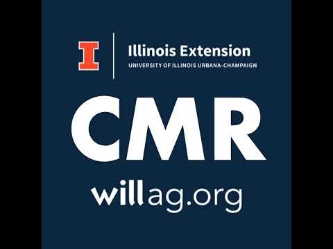 Mar 11 | Closing Market Report