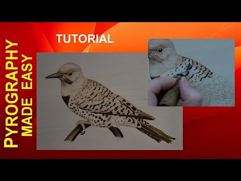 Wood Burning - Northern Flicker Woodpecker bird - pyrography tutorial