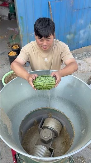 How to Make Animal Feed Pellets at Home – Easy & Fast!#youtubeshorts #feedpelletmachine #animals