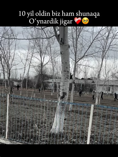 Олтинбек on Instagram: "What looks like anime-level visual effects isn’t computer graphics — it’s a perfectly timed live performance executed in real time. 🔥🎬 In China, a group of students shocked audiences by bringing Dragon Ball to life on stage using practical lighting, choreography, smoke, and synchronized movement instead of CGI or post-production. Every “energy blast” effect was created through stage lighting cues, controlled smoke, and precise body positioning, timed down to the second.