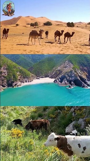 L'Algérie, Terre de Merveilles : Les Incontournables à Visiter !