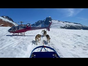 Exploring Alaska’s Frozen Frontier: Dog Sledding on a glacier