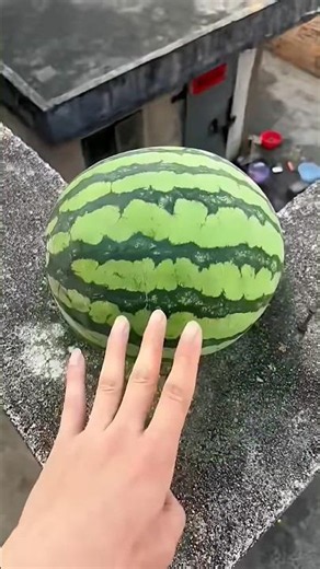 Will a watermelon explode if it rolls down from a tall building? 🍉💥 #watermelon