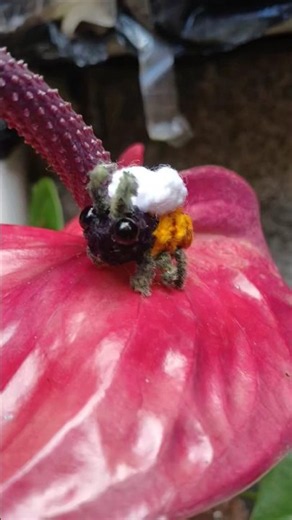 abejita a crochet #amigurumis #tutorial #abejas #abejitas #crochet