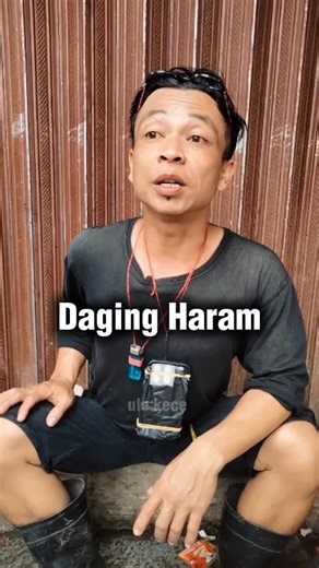 Anjing Babi: Komedi Trend Lucu yang Menghibur