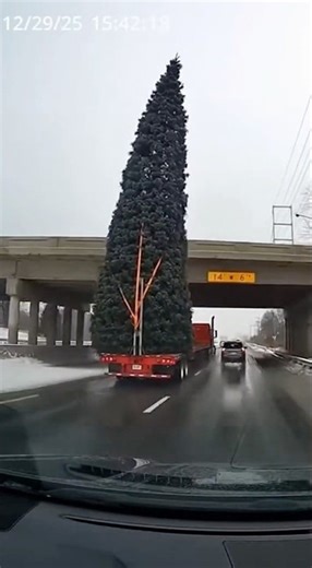 Truck Driver Ignores Warning Sign and Tree EXPLODES #fire #crash #crazy