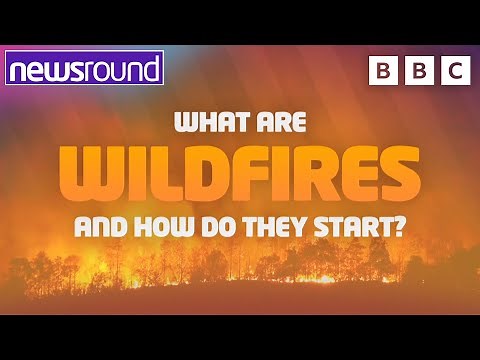 Wildfires: Everything You Need to Know | Explainer | Newsround