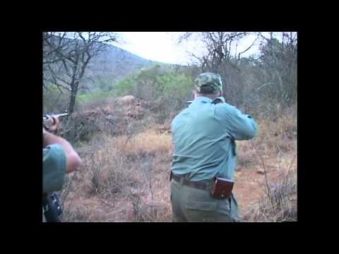 Exposing a Rhino Hunt