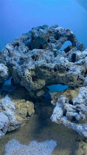 🌊 Mini Marine Setup (24×15×16) – Ready in Progress 🌊প্রিমিয়াম লাইভ রক স্ট্রাকচার ও ক্লিন স্যান্ড বেড দিয়ে খুব যত্ন করে প্রস্তুত করা হচ্ছে এই এলিগ্যান্ট mini marine tank।ছোট জায়গায় পারফেক্ট reef লুক—beginner ও nano reef lover দের জন্য একদম ideal ✨📐 Size: 24×15×16🪨 Beautiful aquascape🐠 Nano marine setup friendlyযারা নিতে আগ্রহী, তারা ইনবক্সে যোগাযোগ করুন 📩Limited setup available ⏳ | Fish Keeping House Bangladesh