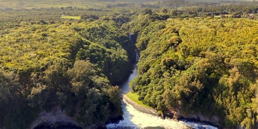 Hawaii County preserves 81-acre site in Hilo
