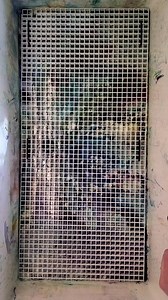 40K views · 2.6K reactions | Check out some of the ice dyeing process that went into this fun batch of rayon maxi dresses! What’s your vibe, pinks and purples or dark and earthy? Moondippertiedye.Com | Moondipper Tie Dye | Facebook