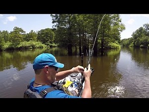 (ep 10) Summer bream in the atchafalaya basin and a few Kayak fishing essentials..