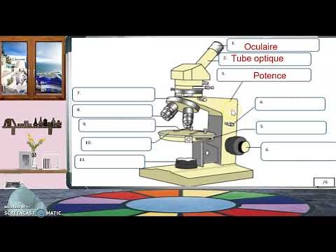Les composantes d'un microscope