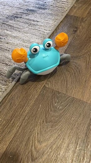 #crabs #crabtoyfordogs #crabtoybabycrabtoy #crabtoysfortoddlers #crabtoys