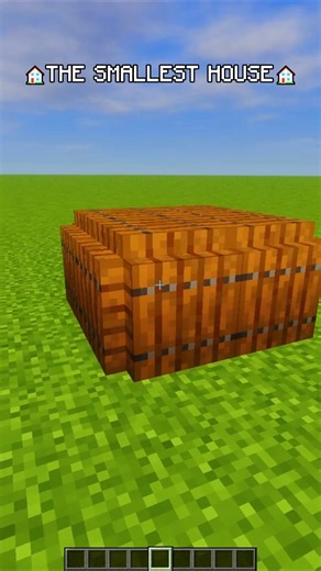 Smallest Minecraft House Ever! 🏠 #shorts