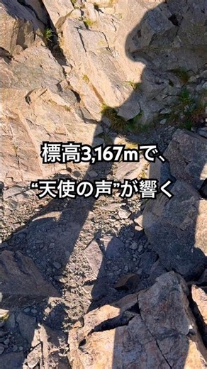 [Okuhotakadake] The voice of an angel echoes at an altitude of 3,167m | On the rocky ridge leadin...