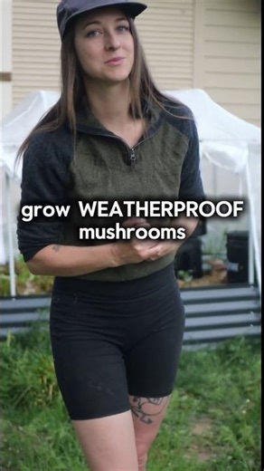 mycosphere - raised garden bed for mushrooms!! North Spore