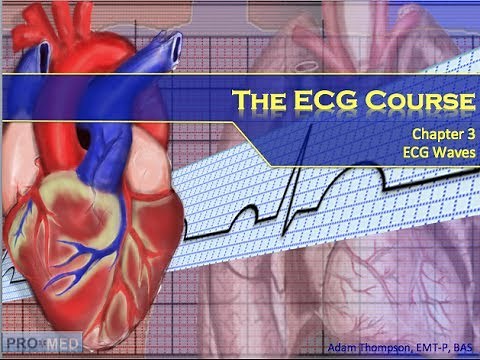 The ECG Course - Waves & Complexes