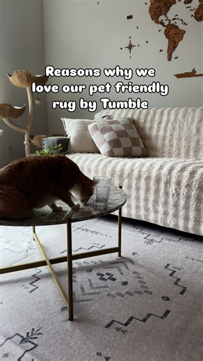 Say goodbye to scrubbing with Tumble's spillproof, machine washable rugs. Safe for pets & kids, and contains zero PFAS or BPA. ✨ All sizes fit in household washer & dryer ✨ Includes cushioned, non-slip pad ✨ Stylish, hand-illustrated designs ✨ Free shipping & 30-day returns | Tumble