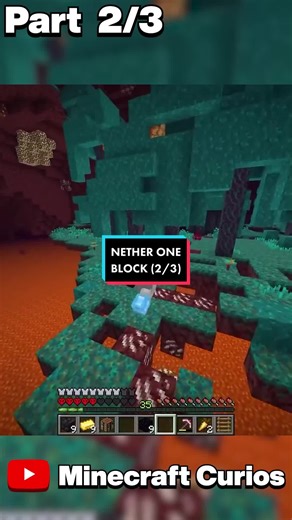 Minecraft Curios Official on TikTok