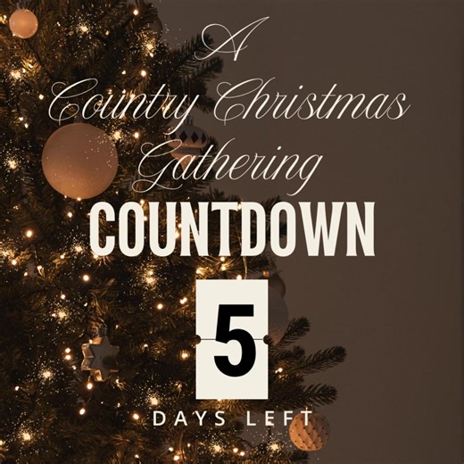 Experience the warmth and wonder of the holidays! ✨ A Country Christmas Gathering brings together local vendors, handmade treasures, and festive inspiration for your home🎄🎁 | A Country Christmas Gathering