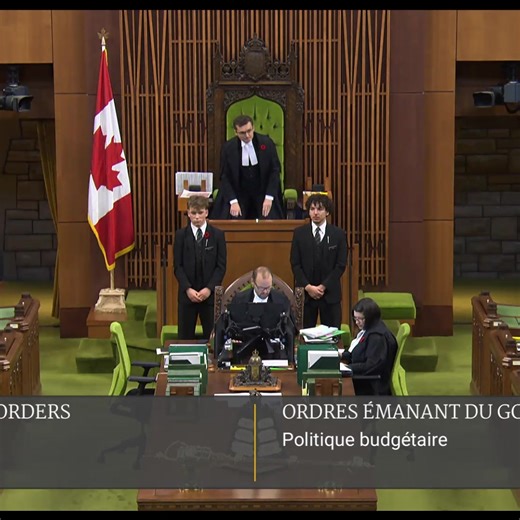 The people of Long Range Mountains matter to me. And when a budget like this one neglects the prevalent issues in Canada like being able to heat your home and feed your family, I have to speak up. | Carol Anstey