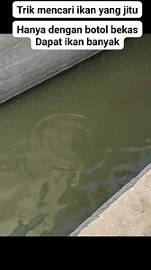 4 comments | Mencari ikan dengan botol bekas di bendungan gerak Bojonegoro #fyp #viral #fbpro | Asyura Wedang Uwuh | Facebook