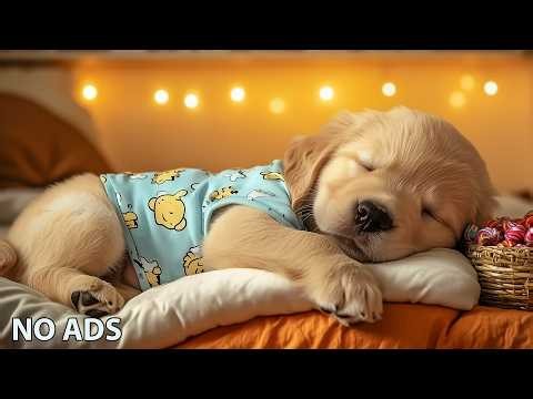 12 Hours Relaxing Dog Music 🎵 Calming Music for Dogs - Dog Sleep Music to Stress Relief 🌿 No Ads