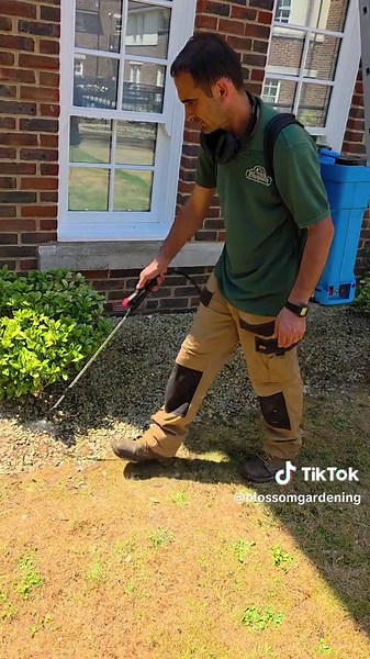 Effective Gardening Techniques to Manage Unwanted Plants