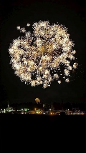 🎆 🎇 BIGGEST Fireworks Displays in the World Right Now !! #fireworks #diwali