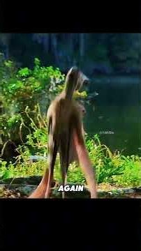 The pterosaur stumbles and falls as it attempts to rise #usa #dinosaur #animals #documentary #movie