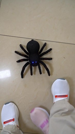 Realistic Toy Spider Prank Revealed