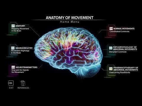 Anatomy of Movement: Interactive 3D Exploration of Brain Pathways and Pharmacotherapy