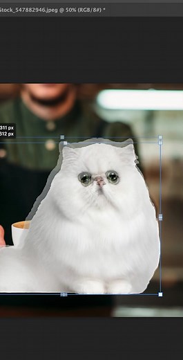 do a lil wraparound #photoshop