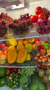 I do not intend to enter into any lengthy discussion of comparative anatomy and physiology at this place, but will content myself with saying that every anatomical, physiological and embryological feature in humans definitely places them in the frugivore class. | Christopher Sean Mcginn