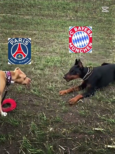 #kyen/football :PSG and Bayern Munich ⚽⚽