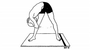 Dolasana - Pendulum Pose In Yoga - World Yoga Forum