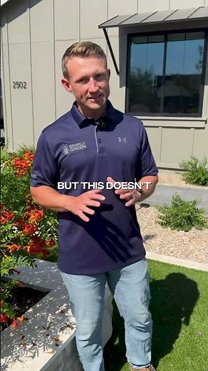 Beware Of This Pest Control Scam