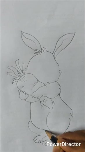 Rabbit drawing || rabbit drawing easy tutorial 🐇#drawing #art #trending #trendingshorts #easydrawing
