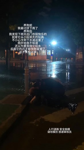 Snack eating contest with Timi! Check out his expression. Soooo cute! #dog #moments #funnydogs #dogs #timi #moment #dog #exercises #vlog #Timi #funny #moment #clip #dog #story #dogsandcats #fart #funnystory #moments #dogstory #fbreelsfypシ゚ #lovers #angry #dog #fun #with #girls #pitbull #rottweiler #doglife Dog Funny Videos | Dog Funny Videos