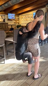 Tara’s favorite mode of transport: piggyback rides everywhere we go! Literally…. Everywhere❤️🦍☮️ • • • #Chimps #chimpanzee #chimps #apes #cuteanimals #animalsaddict #animals #explorepage #animals #animallover #monkey #monkeys #monkeyseemonkeydo #monkeylove #onelove #family #myfamily #riolilly #tara #rioandtara #funny #funnymonkey | Rio Lilly