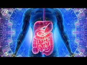 Get Rid Of Heartburn Acid Reflux And Gerd | Overcome Acidity In Stomach | Heal Pain | 528 Hz