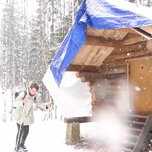 47K views · 879 reactions | Alone building an off grid log cabin natural wood insulation.#bushcraft #adventure #outdoors #survival #camping #cabinlife #cabincrew #wilderness #logcabin | Mountain Cabins | Facebook